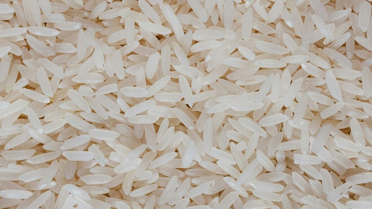 Científicos advierten que el cambio climático avanza 5.000 veces más rápido de lo que el arroz puede adaptarse
