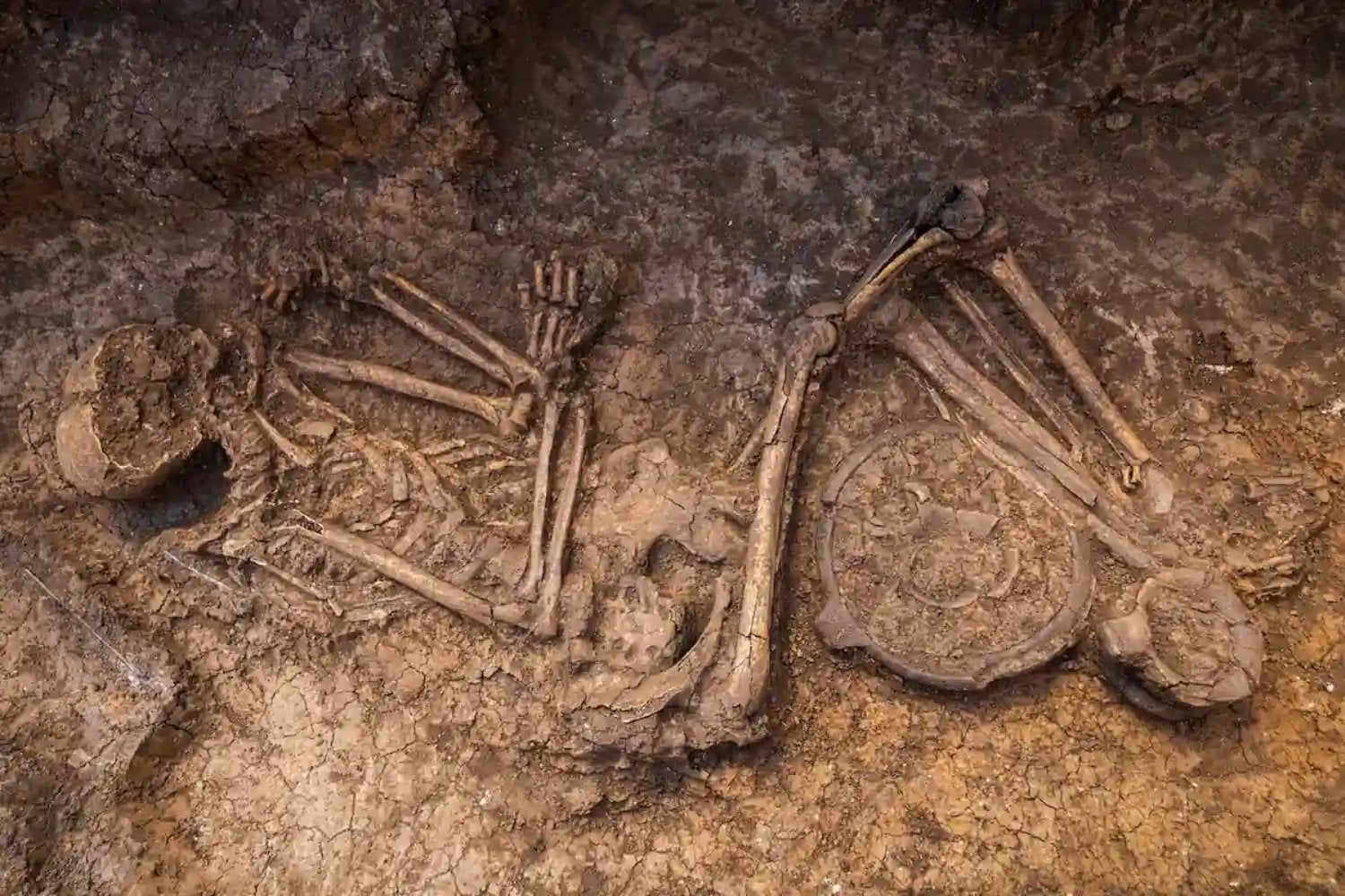 Arqueólogos excavaban una mina de carbón en Hungría cuando apareció un gigantesco círculo de la Edad del Bronce. El hallazgo incluye cientos de tumbas, joyas de oro y una estructura que nadie consigue explicar