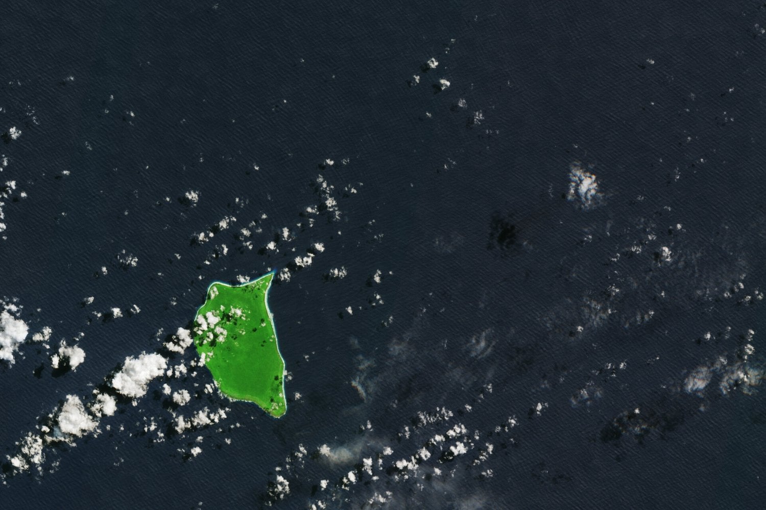 Henderson Island está a miles de kilómetros de cualquier gran ciudad y no tiene habitantes permanentes. Aun así, terminó convertida en uno de los lugares con más basura plástica del planeta