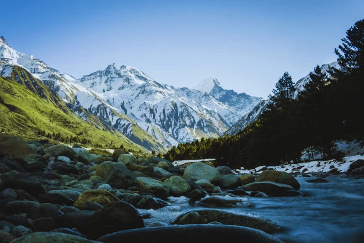 El Himalaya está cambiando de color mucho más rápido de lo esperado. Los científicos advierten que el avance de árboles y vegetación hacia zonas cubiertas históricamente por nieve podría alterar el suministro de agua de gran parte de Asia