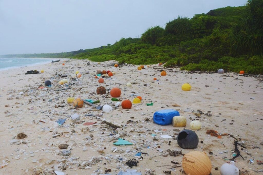 Henderson Island está a miles de kilómetros de cualquier gran ciudad y no tiene habitantes permanentes. Aun así, terminó convertida en uno de los lugares con más basura plástica del planeta
