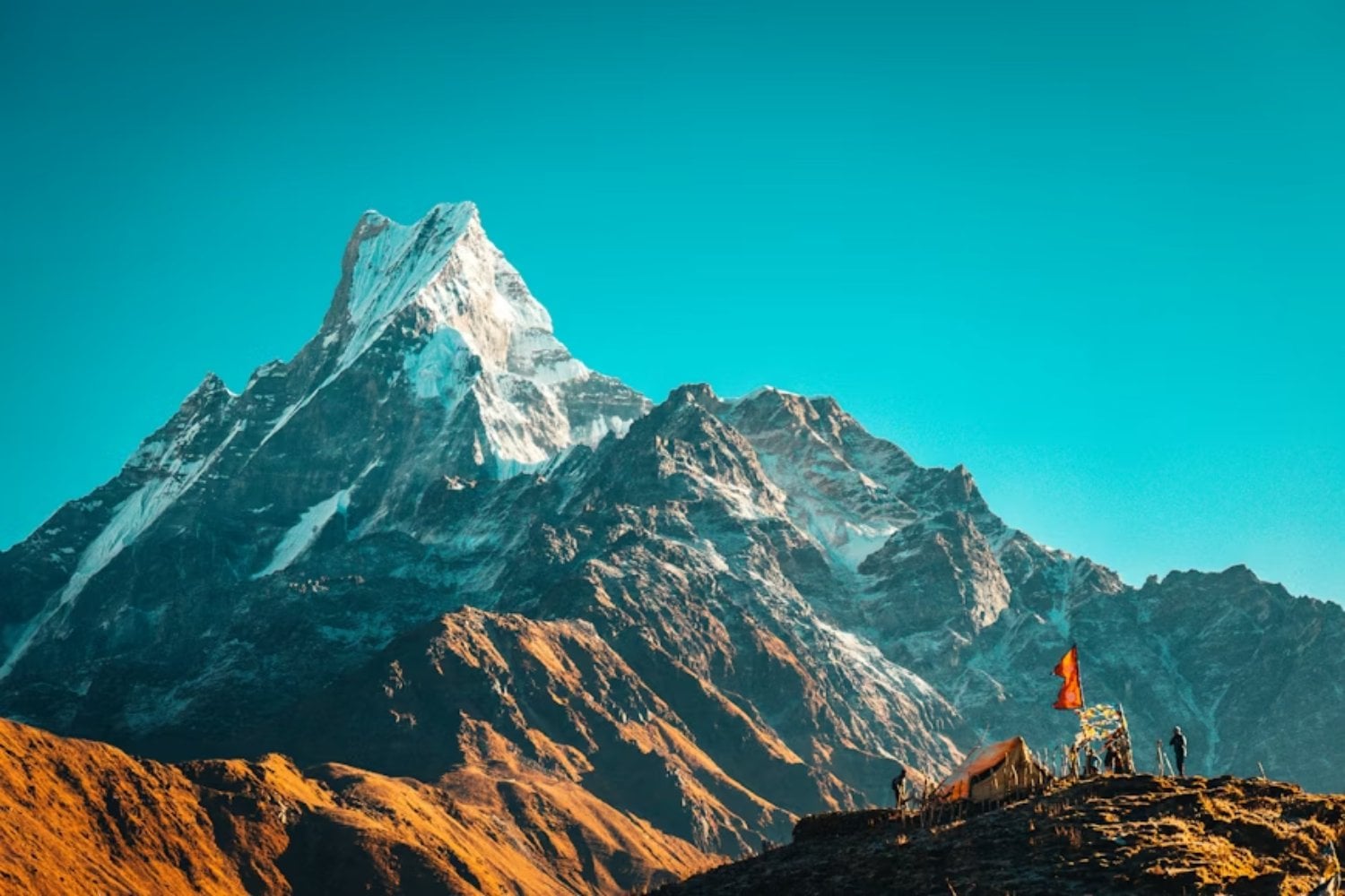 El Himalaya está cambiando de color mucho más rápido de lo esperado. Los científicos advierten que el avance de árboles y vegetación hacia zonas cubiertas históricamente por nieve podría alterar el suministro de agua de gran parte de Asia
