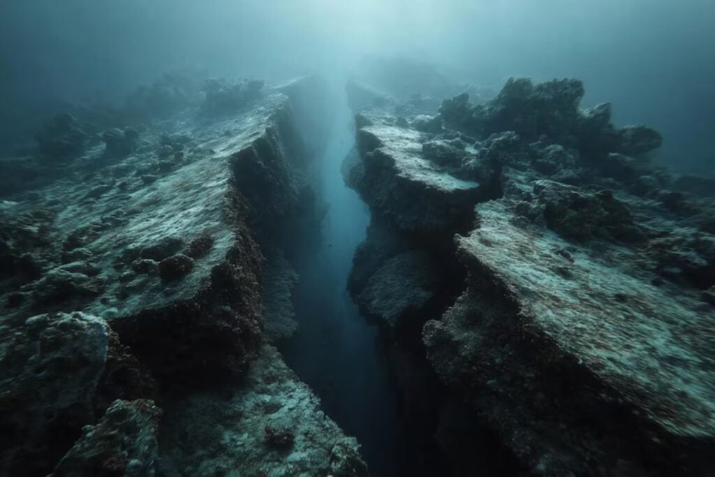 Lo que ocurre bajo el fondo del océano nunca se había observado así. Científicos captan en tiempo real cómo una placa tectónica se desgarra y pierde su conexión con el sistema global