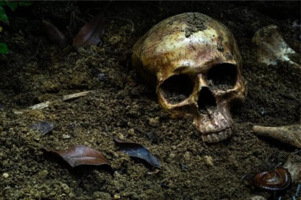 Descubren en Etiopía un yacimiento excepcional de hace 100.000 años que revela cómo vivían, cazaban y sobrevivían algunos de los primeros Homo sapiens en una Afar completamente verde