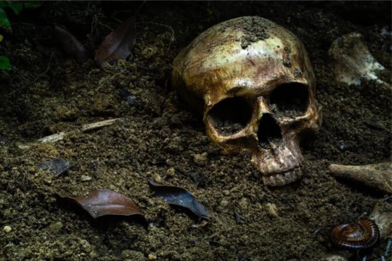 Descubren en Etiopía un yacimiento excepcional de hace 100.000 años que revela cómo vivían, cazaban y sobrevivían algunos de los primeros Homo sapiens en una Afar completamente verde