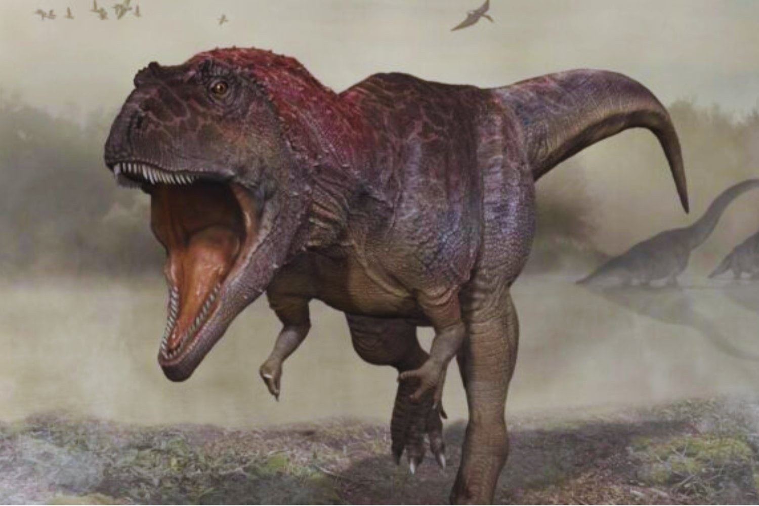 La física acaba de explicar por qué el Tyrannosaurus rex tenía brazos absurdamente pequeños. Su cuerpo sacrificó las extremidades delanteras para convertir la cabeza en un arma biomecánica devastadora
