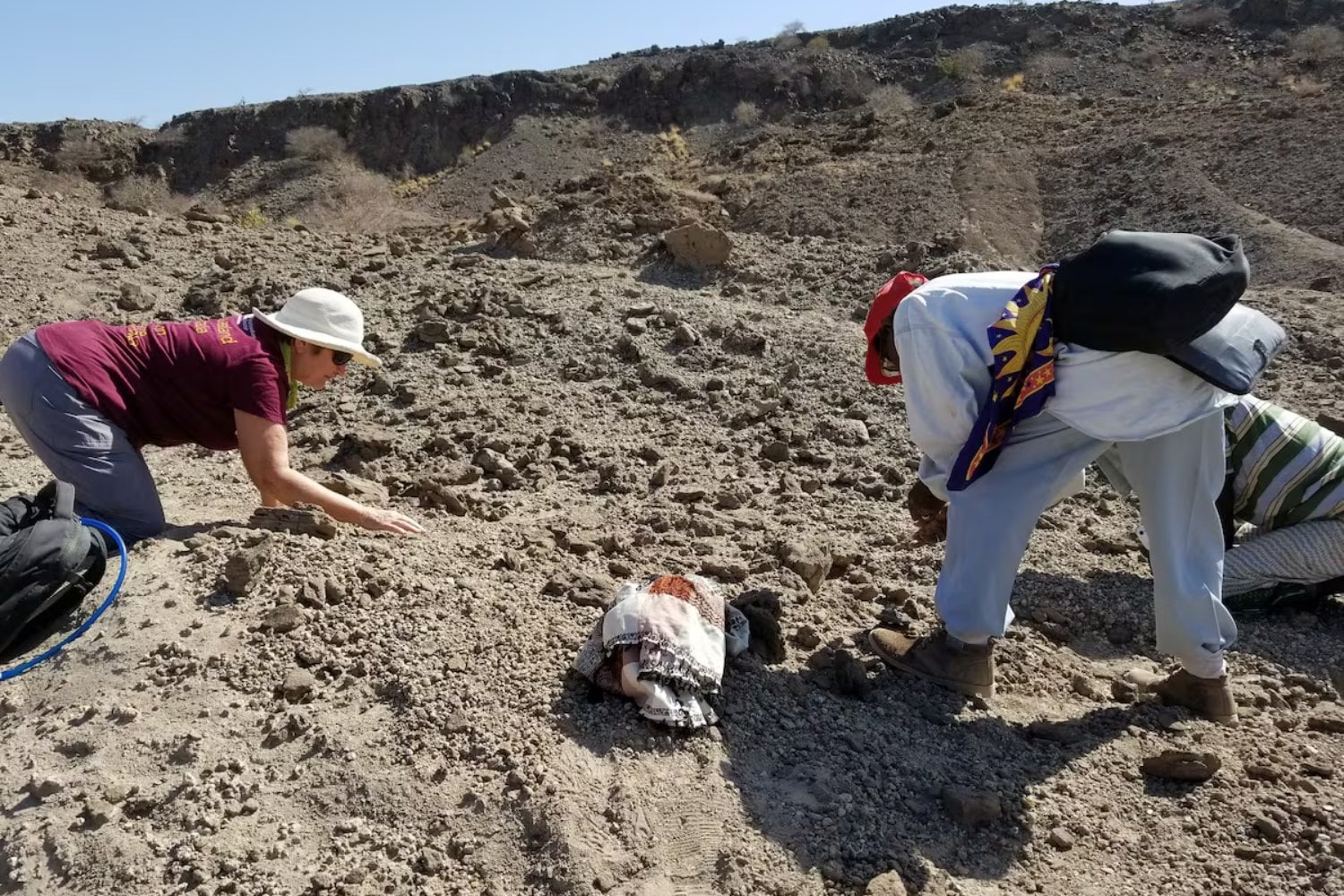 Arqueólogos encontraron 13 dientes fósiles que no pertenecen a ninguna especie humana conocida. El hallazgo podría revelar la existencia de un ancestro perdido que convivió con otros linajes hace más de dos millones de años