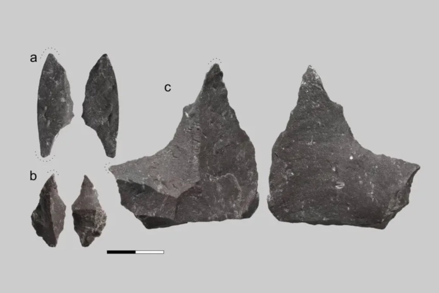 Un diente neandertal de hace 59.000 años hallado en Siberia acaba de cambiar la historia de la medicina humana. Todo indica que alguien perforó una caries con herramientas de piedra para aliviar un dolor insoportable