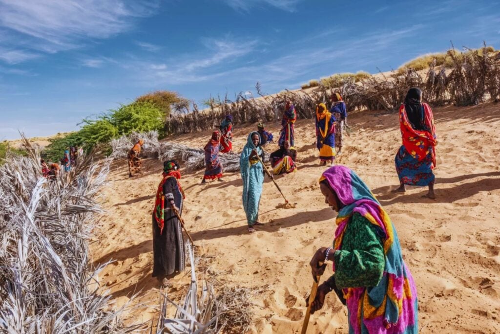 África quiso construir una muralla viva de 8.000 kilómetros para detener al Sahara. Dieciocho años después, el desierto sigue avanzando y el megaproyecto climático enfrenta una realidad mucho más dura de lo esperado