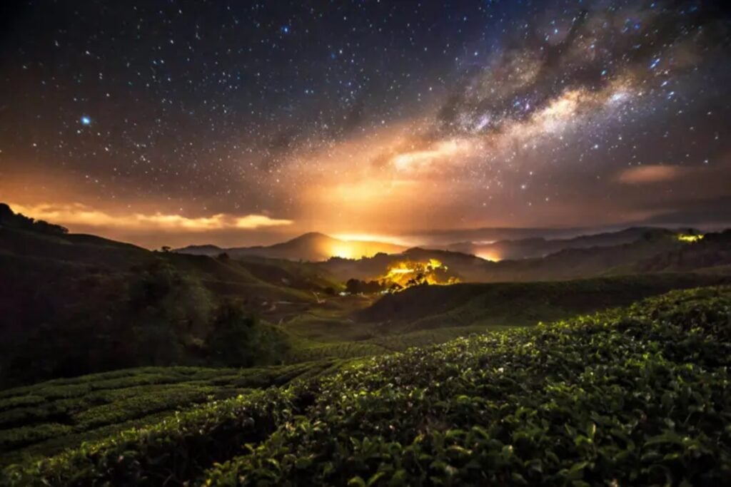 El apagón provocado por un terremoto en Los Ángeles reveló algo mucho más inquietante que los daños del seísmo. Miles de personas descubrieron que jamás habían visto nuestra galaxia