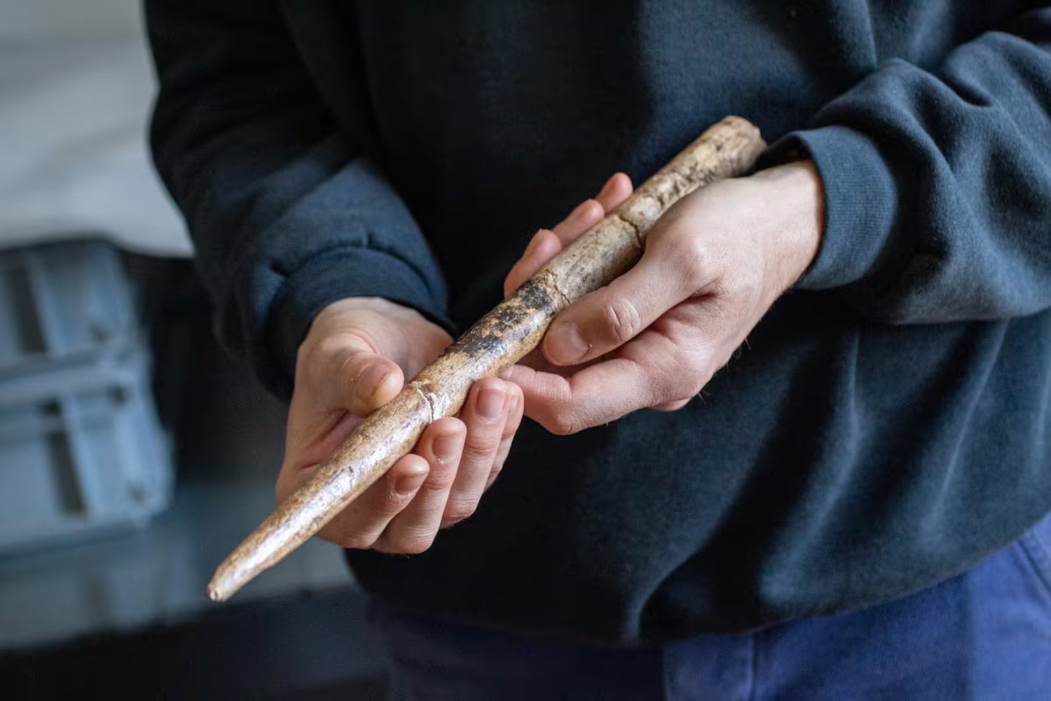 Cuatro huesos olvidados durante décadas en un museo de Suecia acaban de revelar algo inesperado sobre la Edad del Hierro. Investigadores descubren que pertenecieron a enormes ballenas utilizadas hace casi 3.000 años