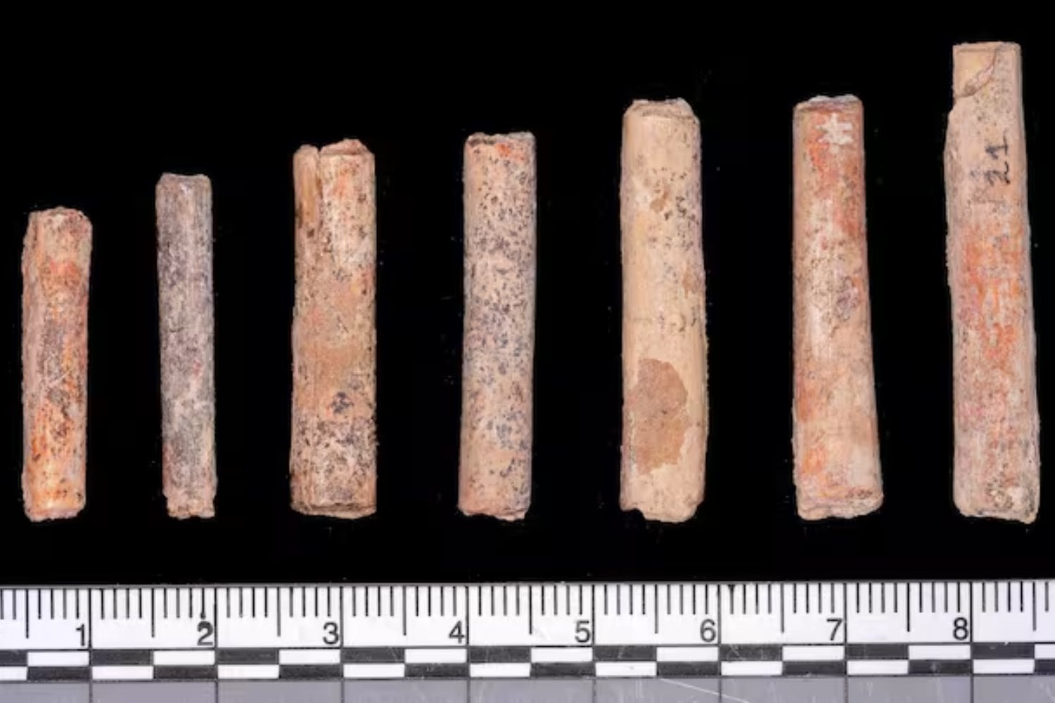 Un jardín sin terminar en la Patagonia acaba de revelar algo que llevaba más de 10.000 años bajo tierra. Dos niños enterrados frente al mar reabren el debate sobre las primeras rutas humanas hacia América
