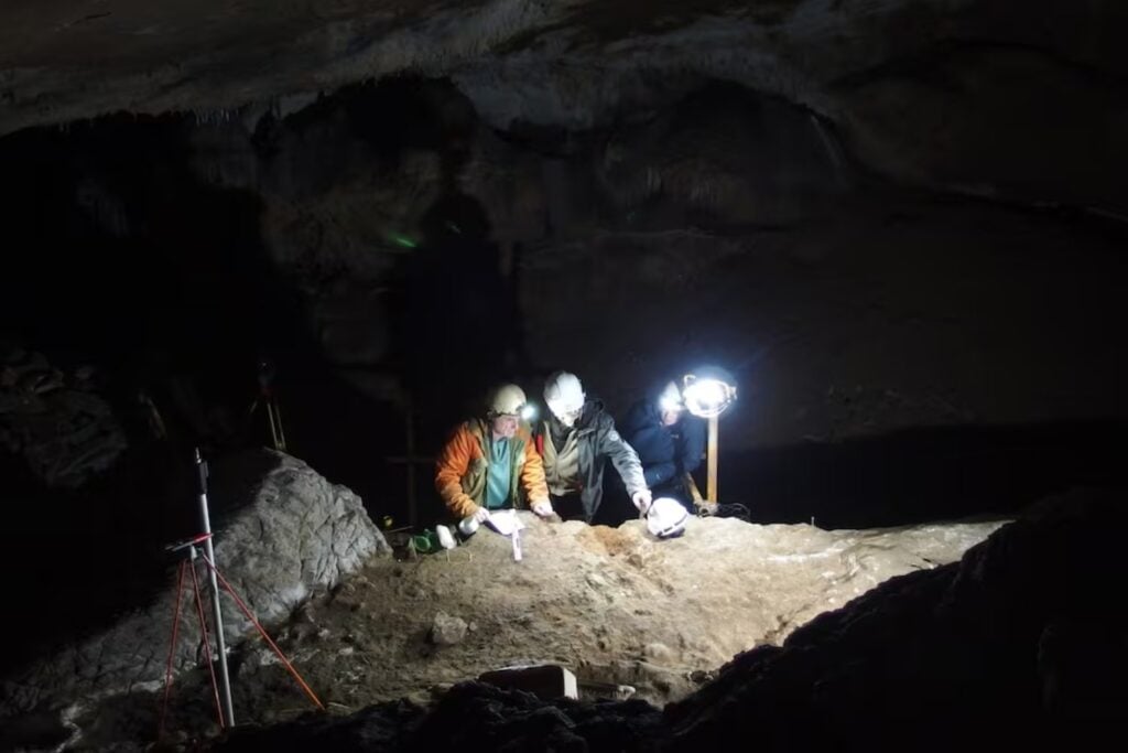 Cuatro huesos olvidados durante décadas en un museo de Suecia acaban de revelar algo inesperado sobre la Edad del Hierro. Investigadores descubren que pertenecieron a enormes ballenas utilizadas hace casi 3.000 años