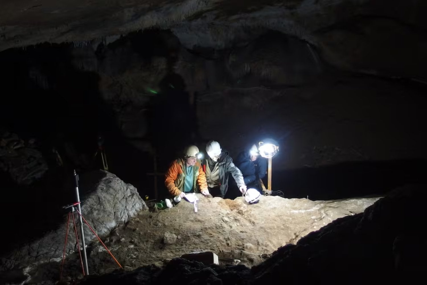 Cuatro huesos olvidados durante décadas en un museo de Suecia acaban de revelar algo inesperado sobre la Edad del Hierro. Investigadores descubren que pertenecieron a enormes ballenas utilizadas hace casi 3.000 años