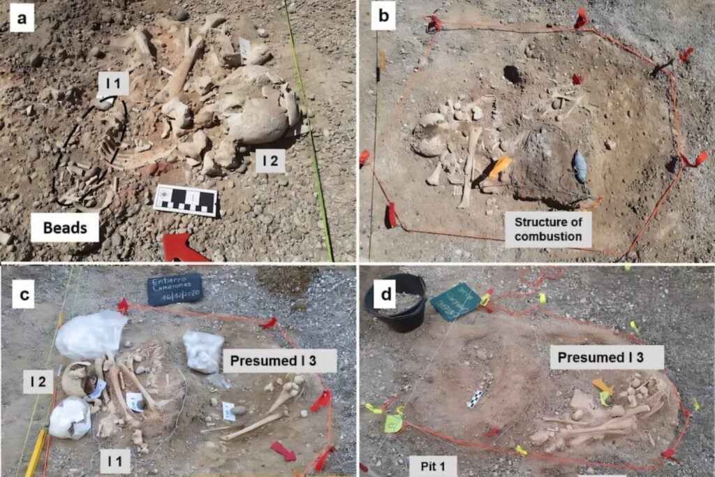 Un jardín sin terminar en la Patagonia acaba de revelar algo que llevaba más de 10.000 años bajo tierra. Dos niños enterrados frente al mar reabren el debate sobre las primeras rutas humanas hacia América