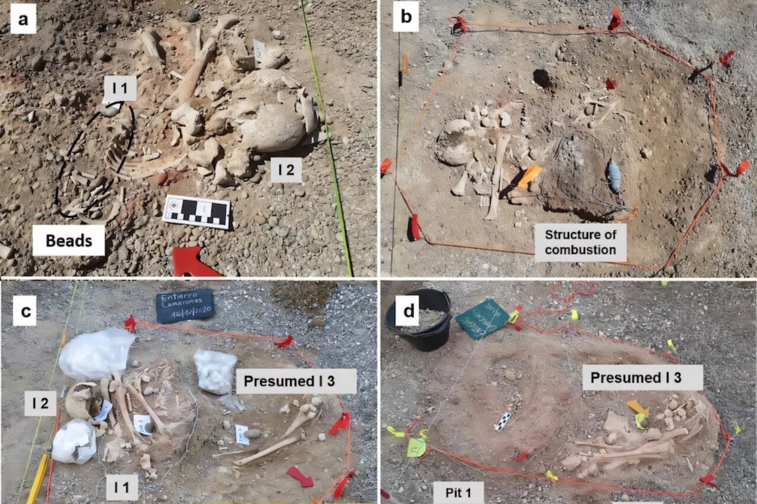 Un jardín sin terminar en la Patagonia acaba de revelar algo que llevaba más de 10.000 años bajo tierra. Dos niños enterrados frente al mar reabren el debate sobre las primeras rutas humanas hacia América