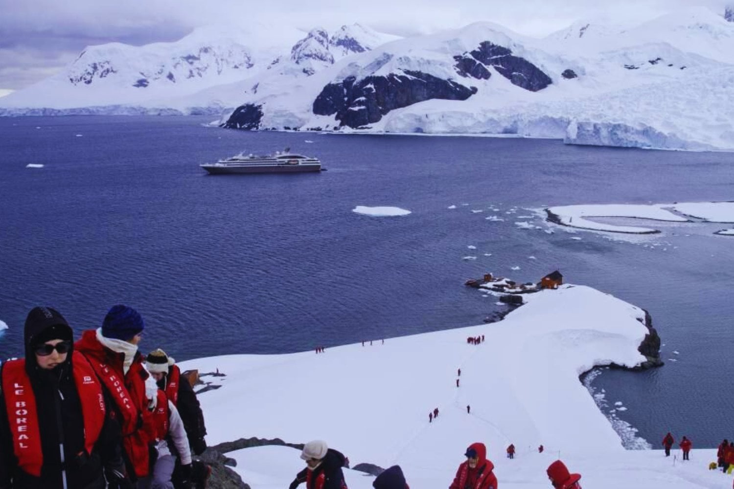 La Antártida parecía el último territorio del planeta fuera del alcance del turismo masivo. Ahora los cruceros, los desembarcos y el crecimiento explosivo de visitantes empiezan a cambiarlo todo