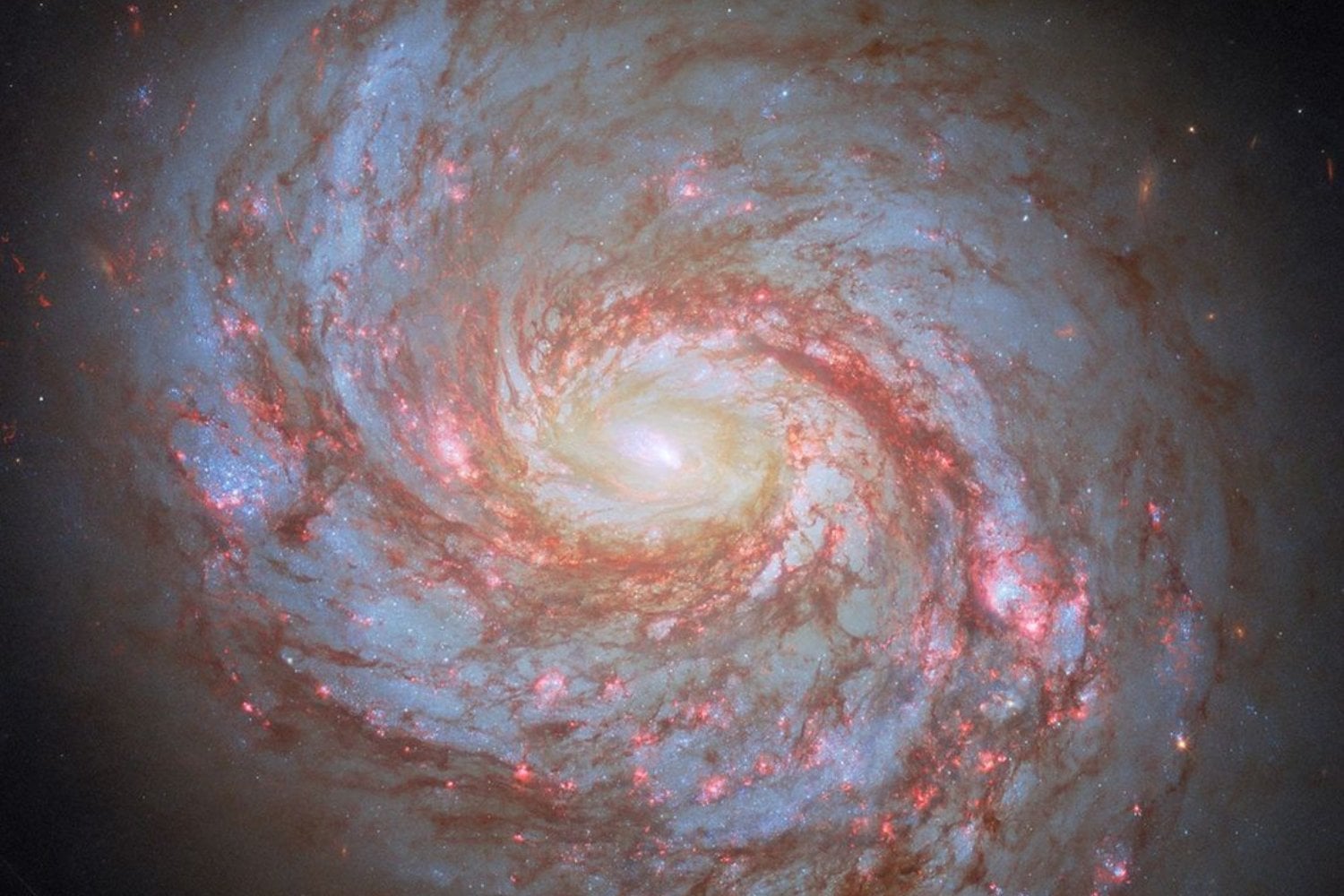 El telescopio James Webb encontró un gigantesco “faro de luz” brillando en mitad de remolinos de polvo cósmico. La estructura proviene del núcleo extremadamente activo de una galaxia dominada por un agujero negro supermasivo