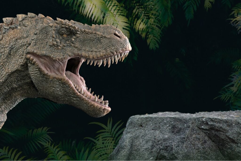 Un hueso fosilizado encontrado hace décadas acaba de revelar algo inquietante sobre el mayor depredador del Cretácico. Los tiranosaurios no solo cazaban a otros dinosaurios: también se devoraban entre ellos
