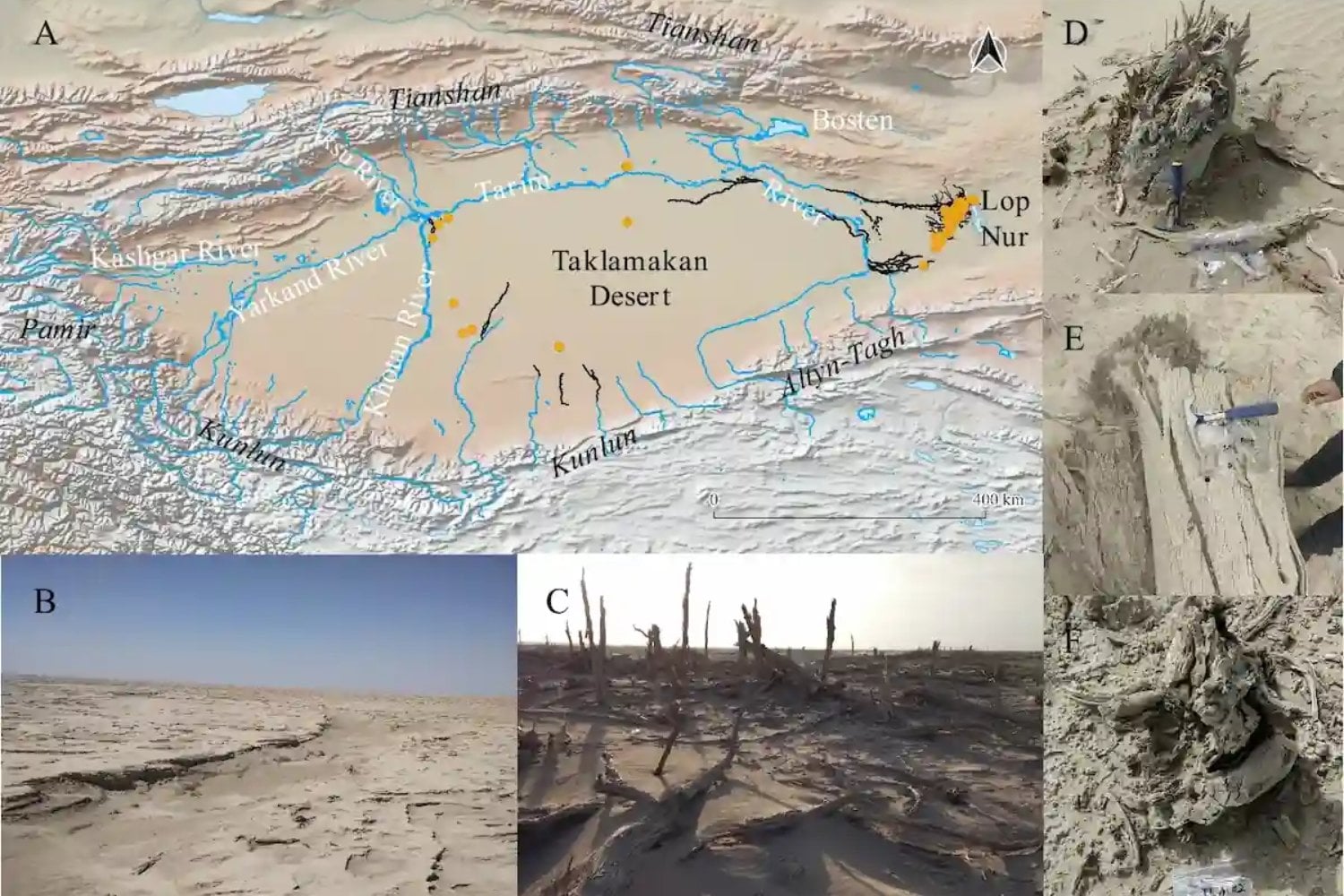 La Ruta de la Seda no colapsó únicamente por guerras, imperios y rutas marítimas. Un nuevo estudio sugiere que el comercio comenzó a morir cuando los grandes ríos del desierto de Taklamakán dejaron de llevar agua