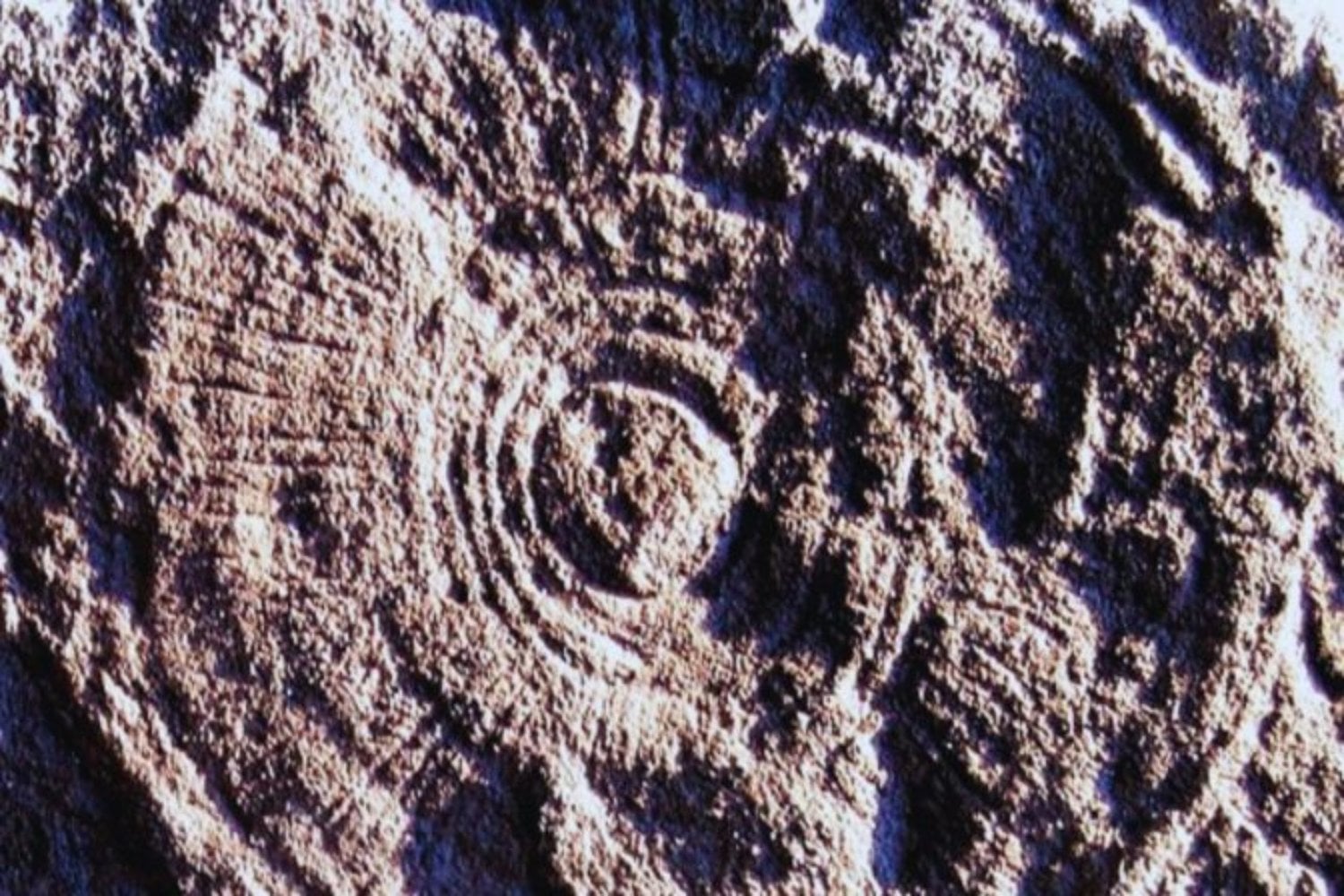 La vida compleja de la Tierra no surgió flotando libremente en océanos llenos de oxígeno. Un nuevo estudio revela que sobrevivió atrapada durante millones de años en pequeños refugios submarinos casi inhabitables
