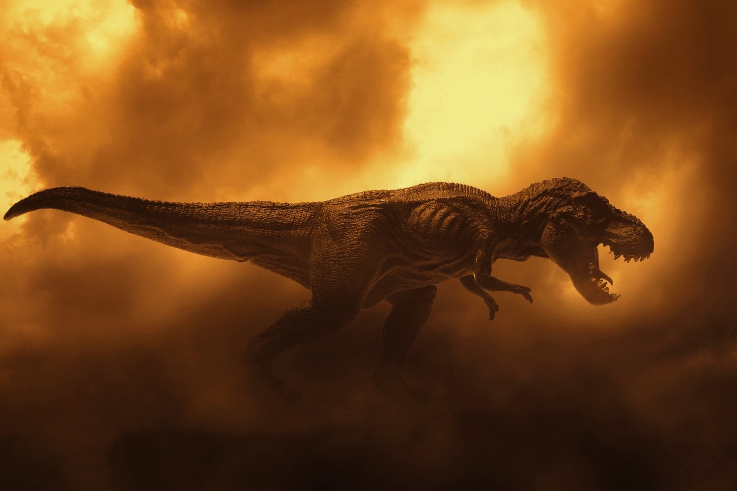 T Rex