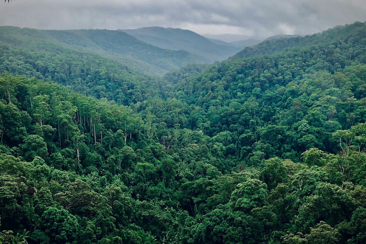 Amazonia
