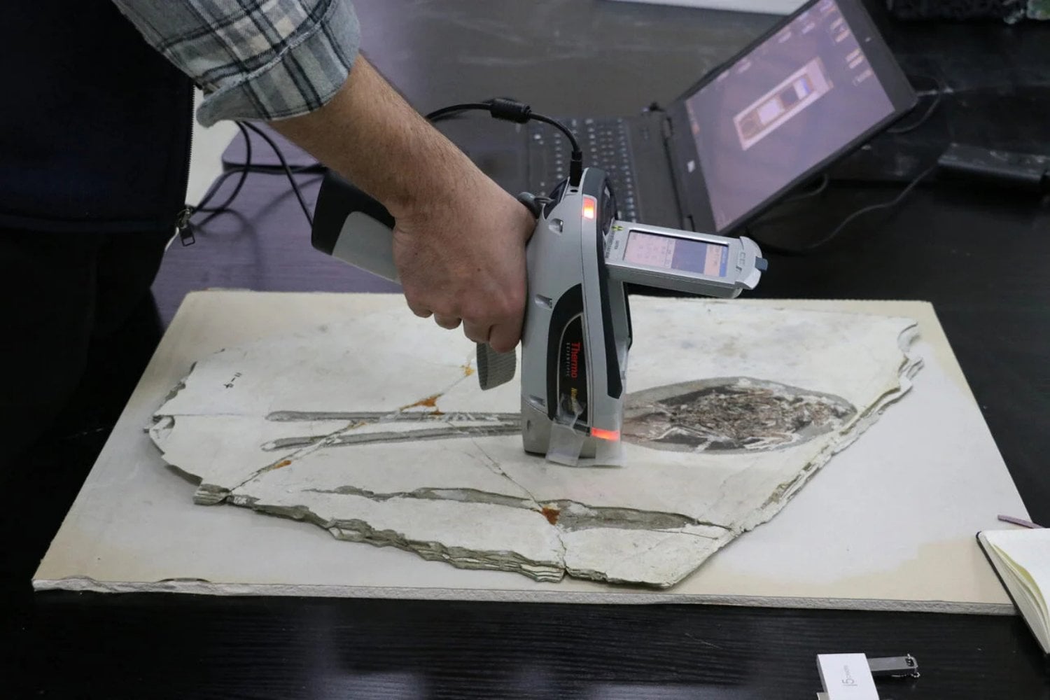 Analisis Plumadraco