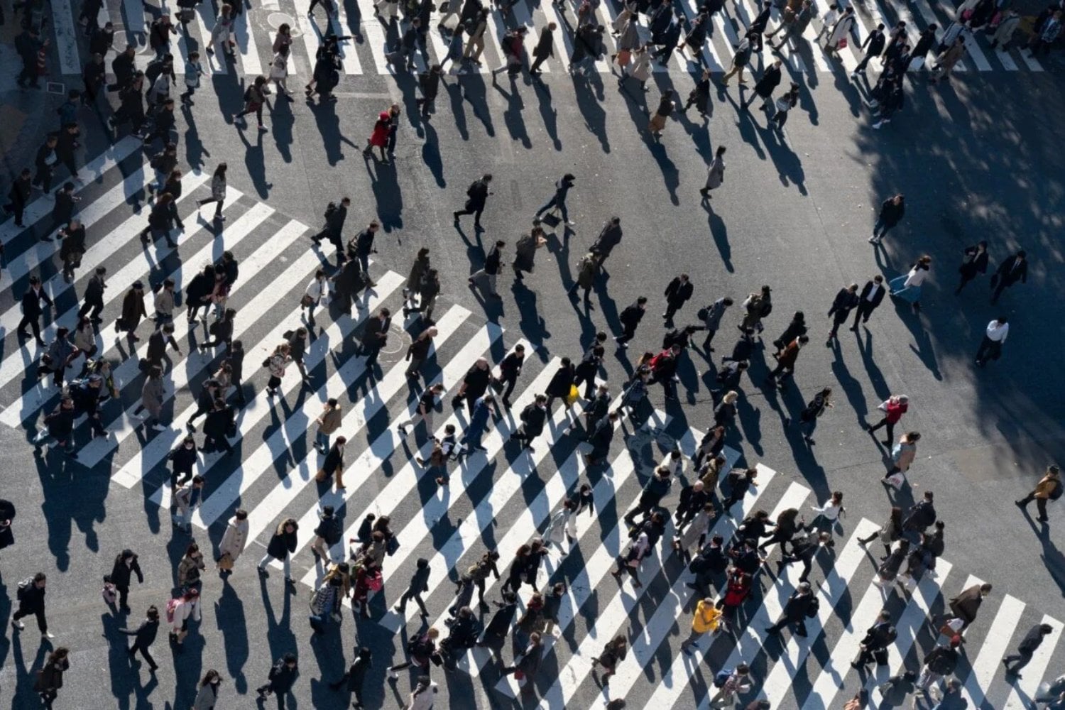 Cruce Peatonal En Japon