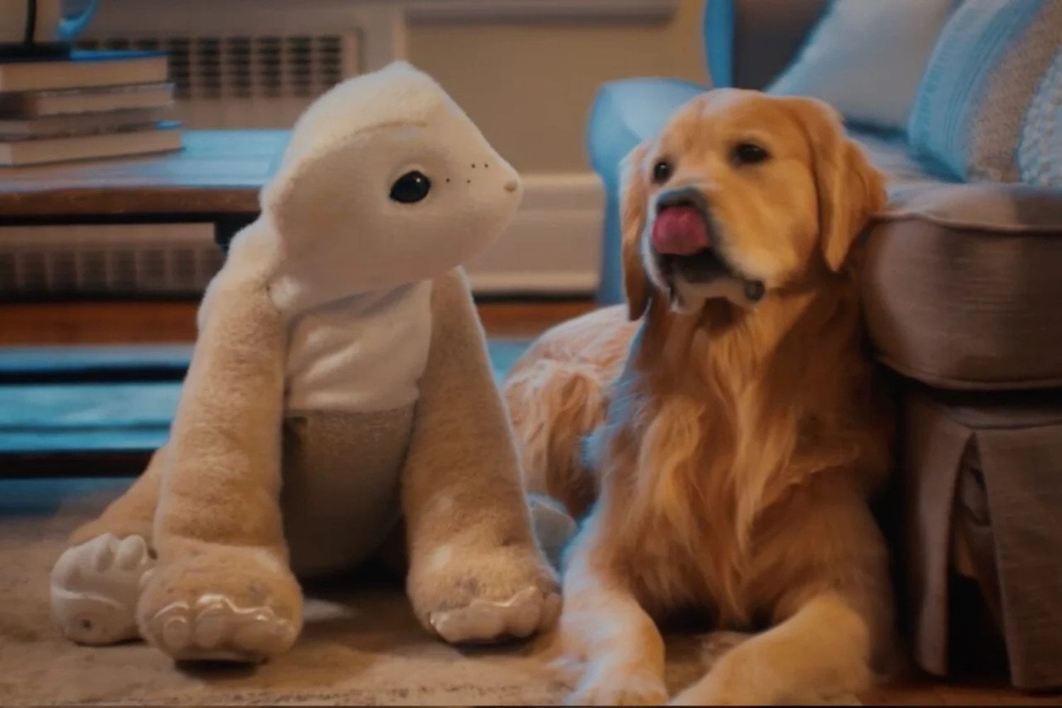 Mascota Robot Y Perro