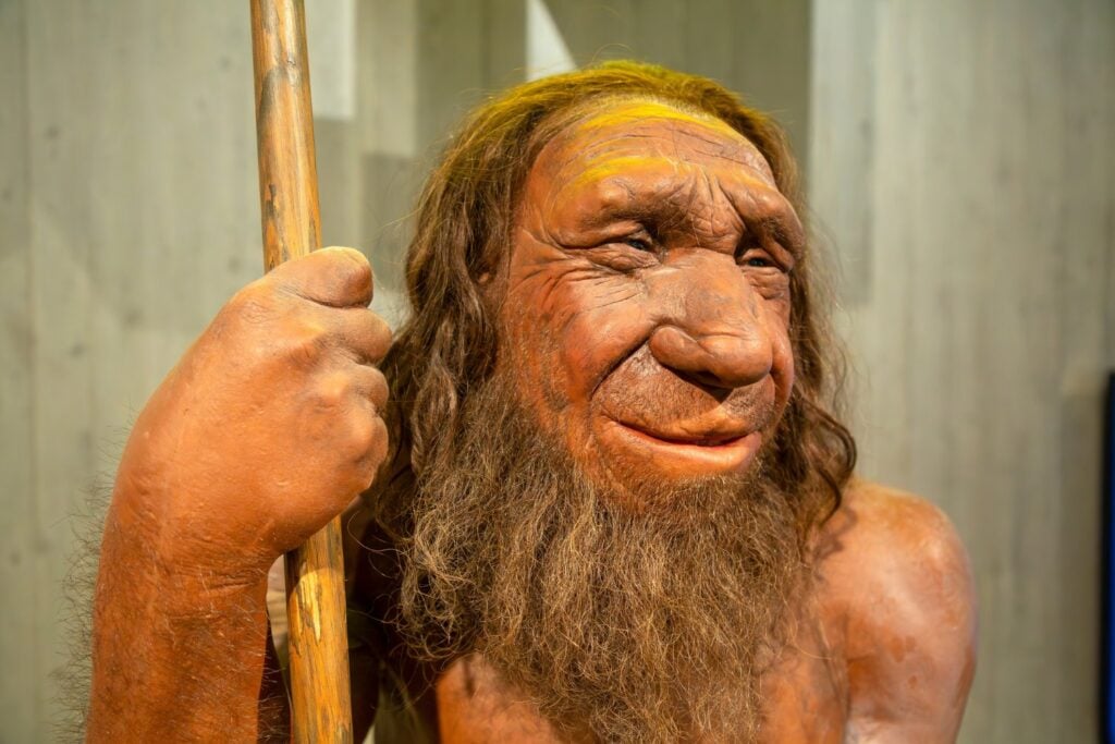 Neandertal