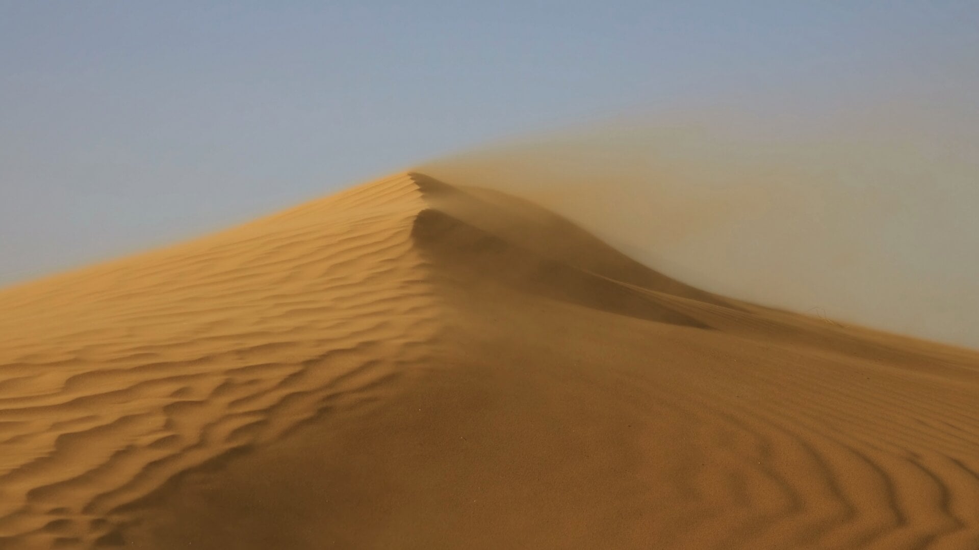 Sand,blowing,over,large,sand,dunes,in,wind,,sahara,desert