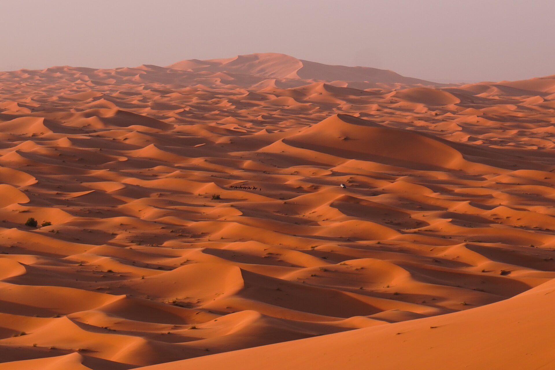 In,the,sahara,desert,,morocco,a,desert,stretching,endlessly,??????????????