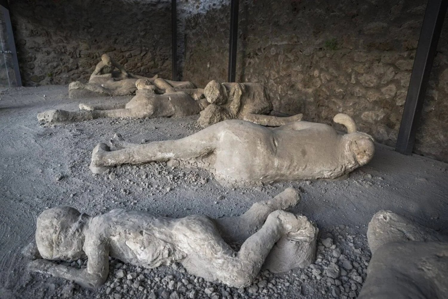 Victimas Pompeya