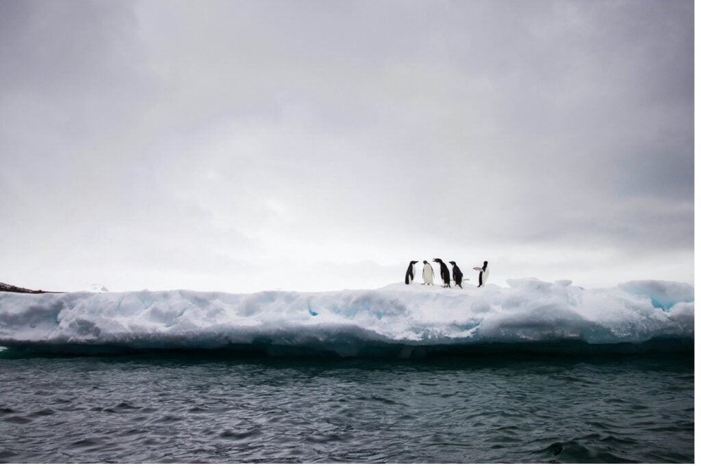 Perforaron el hielo de la Antártida Oriental y enc