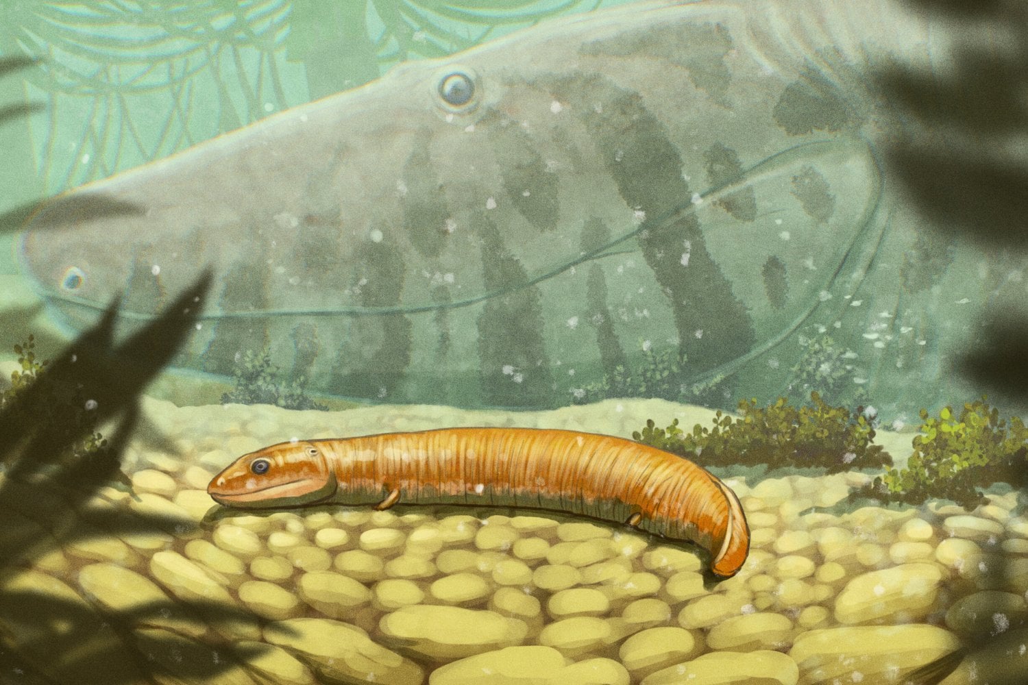 Los primeros vertebrados terrestres no crecían como renacuajos, y eso cambia una de las grandes historias de la evolución. Fósiles de crías parecidas a antiguos cocodrilos obligan a repensar cómo los animales conquistaron la tierra