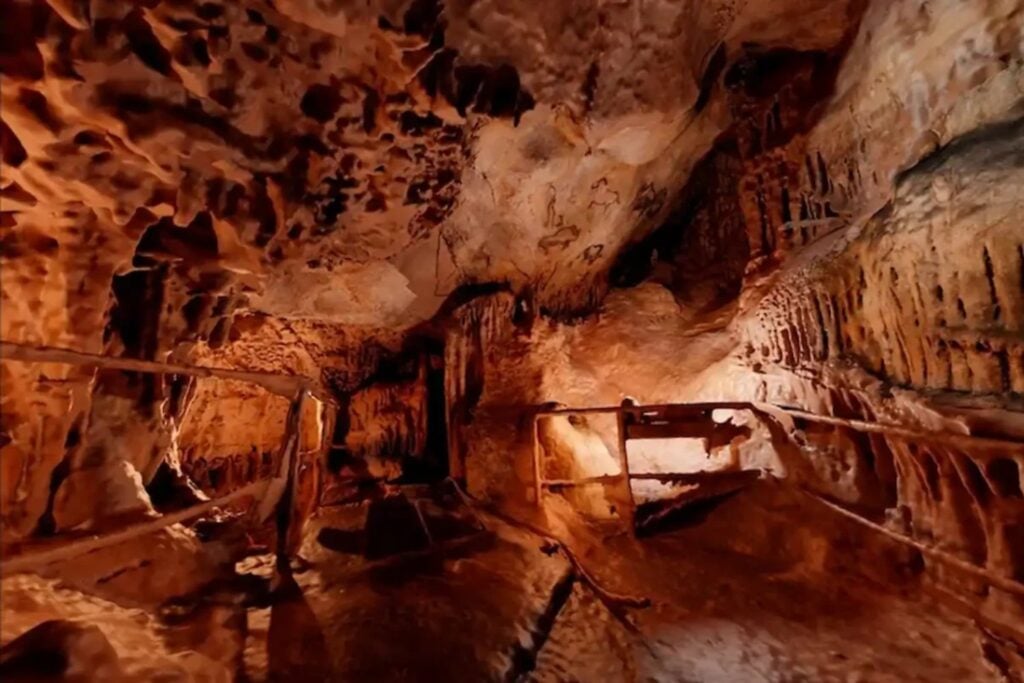 El arte rupestre del Paleolítico no era una acumulación aleatoria de bisontes, caballos y signos en las paredes. Un estudio de más de 500 figuras descubre una “gramática” visual compartida en nueve cuevas del Golfo de Vizcaya