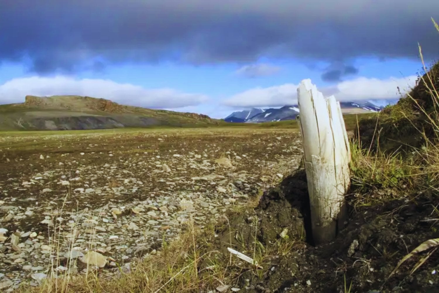 El deshielo del Ártico no solo está liberando carbono: también está acelerando la evolución invisible de las bacterias. Un estudio revela millones de piezas de ADN móvil saltando entre microbios del permafrost