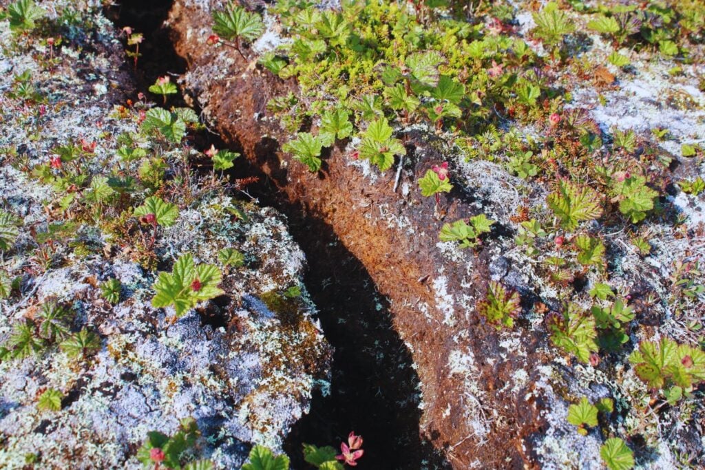 El deshielo del Ártico no solo está liberando carbono: también está acelerando la evolución invisible de las bacterias. Un estudio revela millones de piezas de ADN móvil saltando entre microbios del permafrost