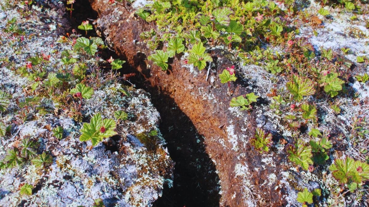 El deshielo del Ártico no solo está liberando carbono: también está acelerando la evolución invisible de las bacterias. Un estudio revela millones de piezas de ADN móvil saltando entre microbios del permafrost
