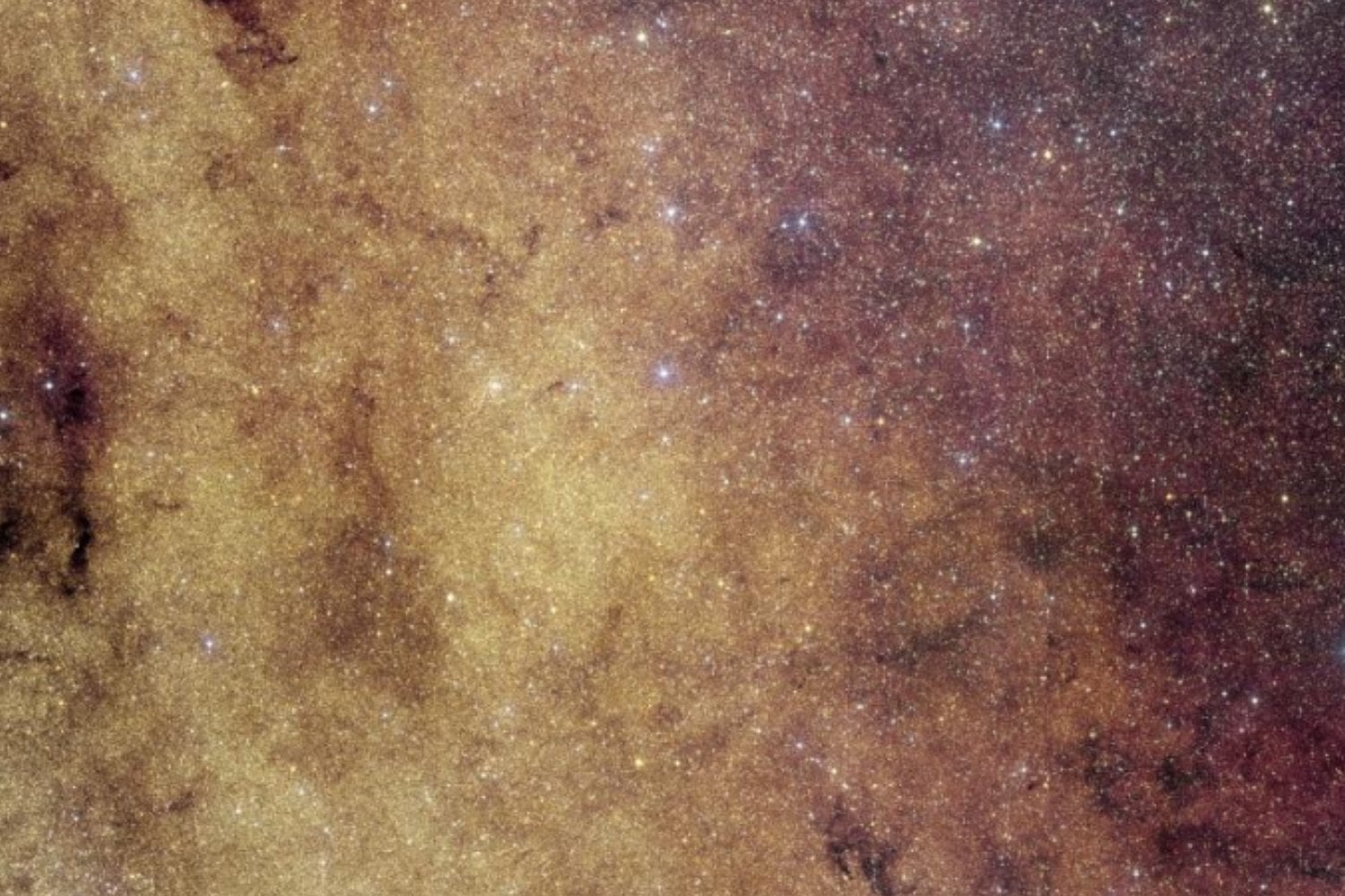 Parece una inmensa nube de brillantina dorada, pero contiene 60 millones de estrellas. Euclid fotografió el corazón de la Vía Láctea con un nivel de detalle nunca visto
