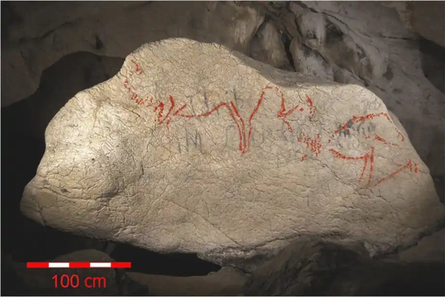 El arte rupestre del Paleolítico no era una acumulación aleatoria de bisontes, caballos y signos en las paredes. Un estudio de más de 500 figuras descubre una “gramática” visual compartida en nueve cuevas del Golfo de Vizcaya