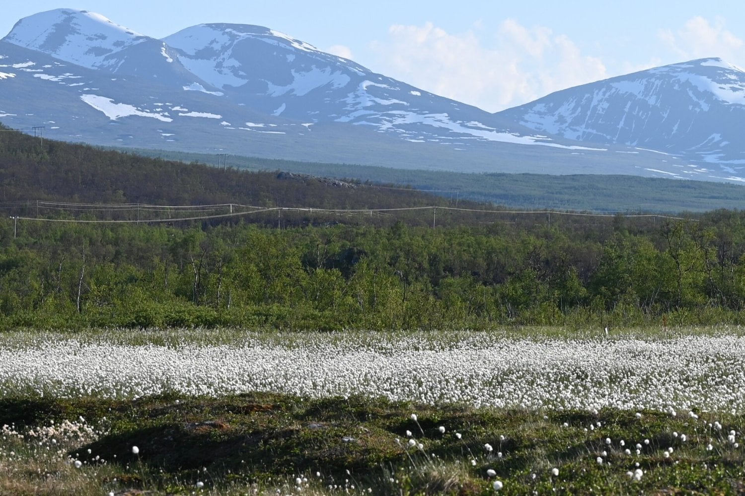 El deshielo del Ártico no solo está liberando carbono: también está acelerando la evolución invisible de las bacterias. Un estudio revela millones de piezas de ADN móvil saltando entre microbios del permafrost
