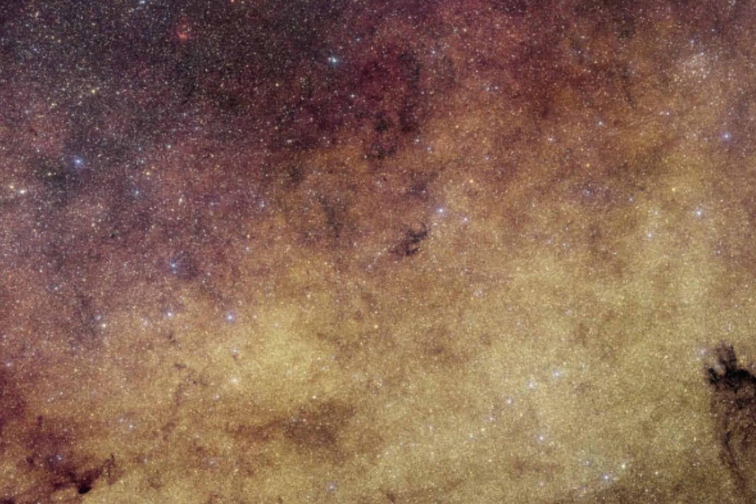 Parece una inmensa nube de brillantina dorada, pero contiene 60 millones de estrellas. Euclid fotografió el corazón de la Vía Láctea con un nivel de detalle nunca visto