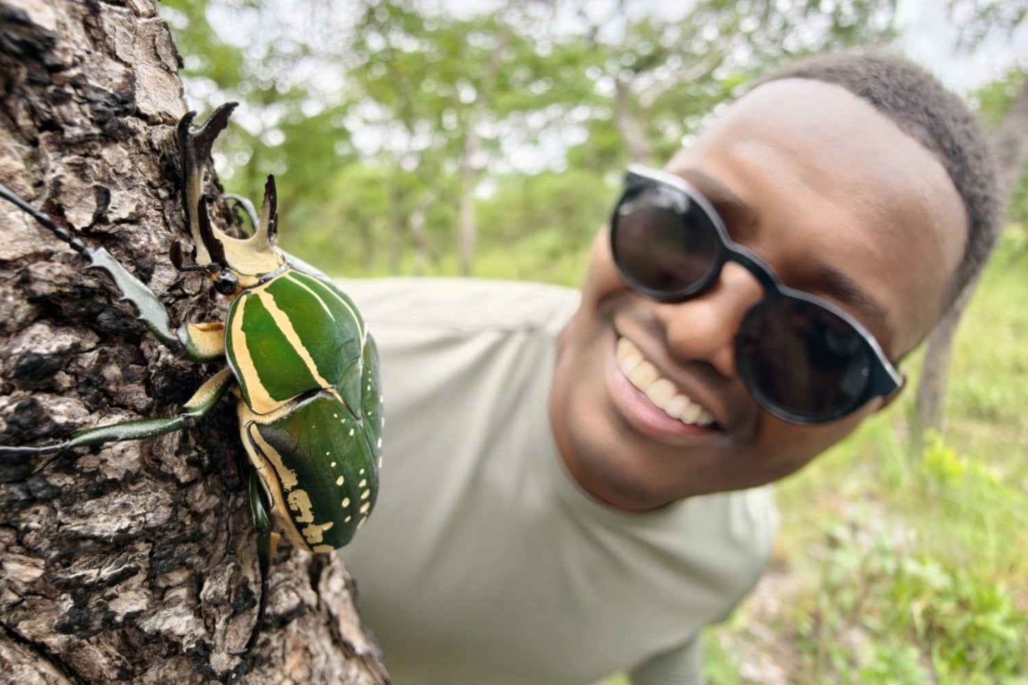 Angola escondía uno de los últimos grandes vacíos biológicos de África detrás de una historia de guerra y aislamiento. Los científicos entraron y volvieron con más de 70 especies nuevas