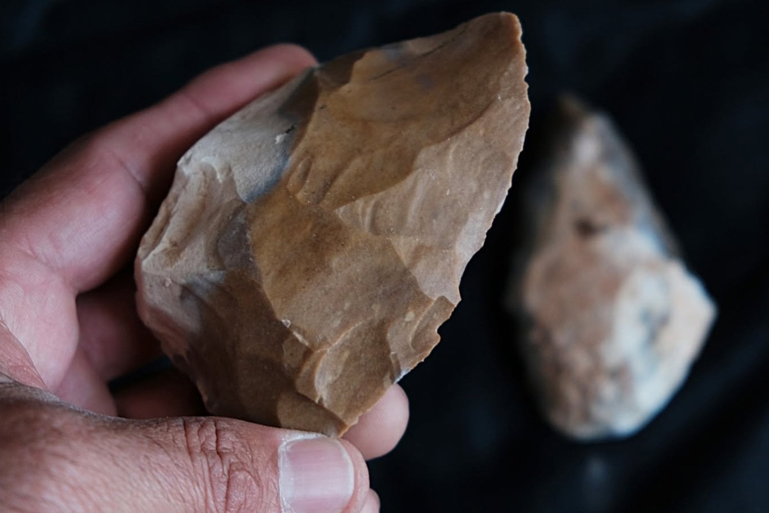 Una cueva sellada durante hasta 400.000 años acaba de aparecer cerca de Haifa con herramientas, huesos y restos de fuego. Su interior conserva una cápsula del tiempo de una cultura anterior al dominio de neandertales y humanos modernos