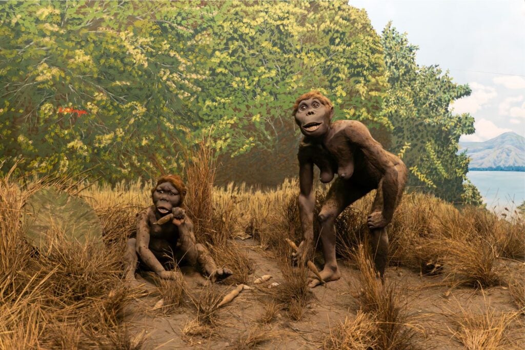 Científicos creen haber encontrado el origen de la explosión