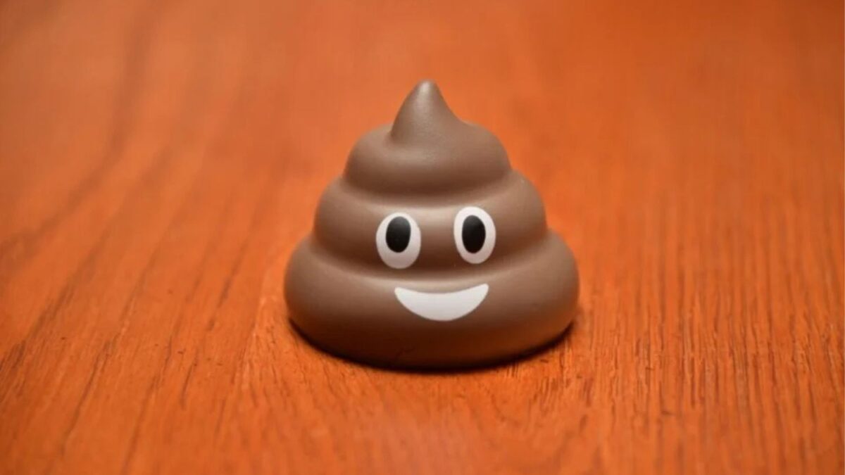 Creíamos que el emoji de la caquita solo era para indicar desagrado o algo parecido, pero unos físicos te explican por qué es mucho más genial de lo que creías