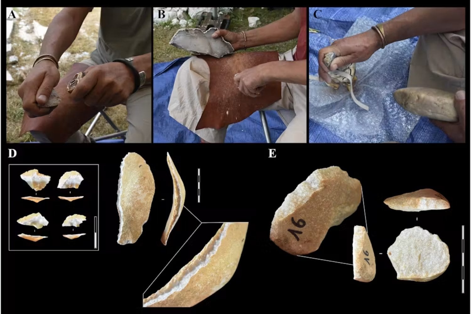 Los neandertales no desperdiciaban ni los dientes de un rinoceronte. Todo apunta a que los usaban como martillos y yunques para fabricar herramientas de piedra