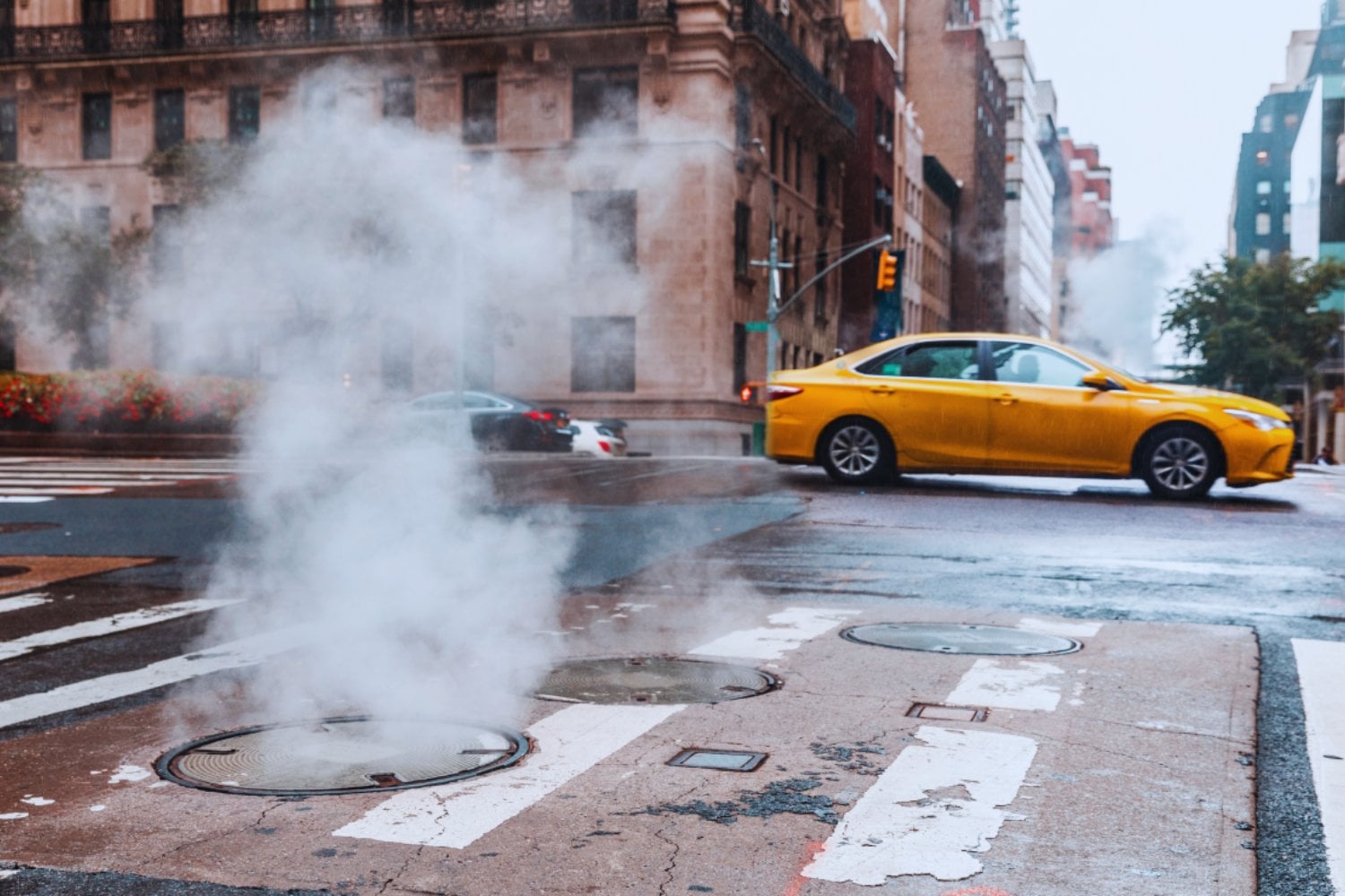 Las cámaras de seguridad comenzaron a registrar una escena extraña en Nueva York. Grupos de hombres levantaban alcantarillas, desaparecían bajo tierra durante horas y luego volvían a salir